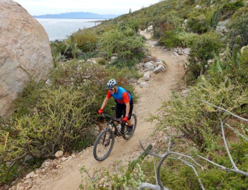 Piecing Together the Mountain Bike Puzzle in Baja, Mexico